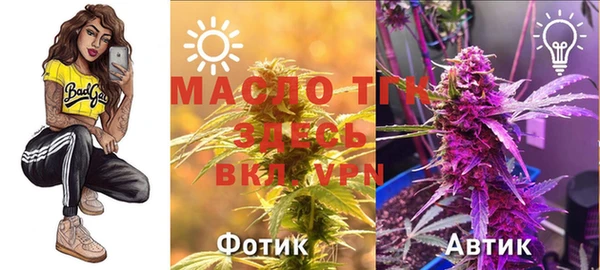 шишки Балабаново
