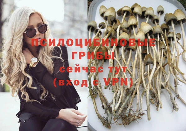 ALPHA PVP Армянск