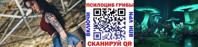 Псилоцибиновые грибы Cubensis  Спасск-Дальний 